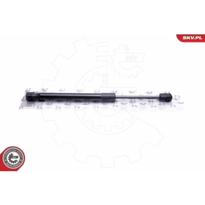 Bild av Gasfjäder, motorhuv, bmw 5 [f10], touring [f11], 6 cabriolet [f12], coupé [f13], gran coupe [f06], 51237228990, 51237309119