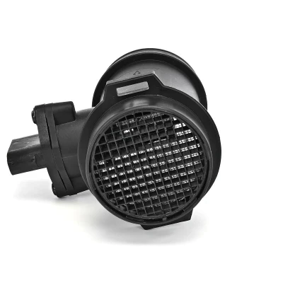 Bild av Luftmassesensor DELPHI AF10282 12B1