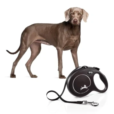 Bild av Flexi New Classic 5 m band Max 50 kg