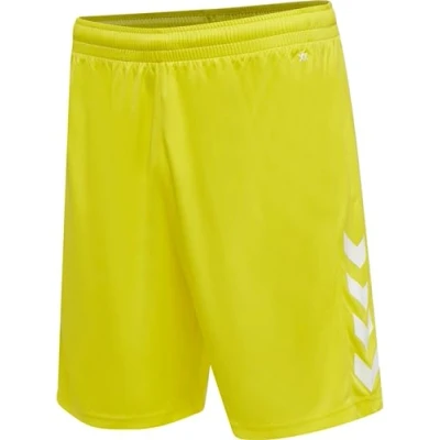 Bild av hummel hmlCORE XK Poly shorts