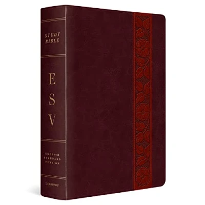 Bild av Study Bible ESV Large Print Trellis Design: English Standard Version Mahogany Trutone Design