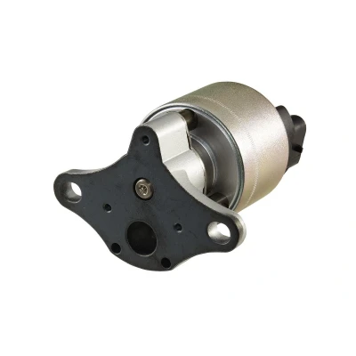 Bild av HELLA 6NU 010 171 601 Vanne EGR électronique avec joint d&#039;étanchéite OPEL: Corsa B 3/5 portes, Vectra CC, Tigra Coupe, VAUXHALL: Mk1 CC