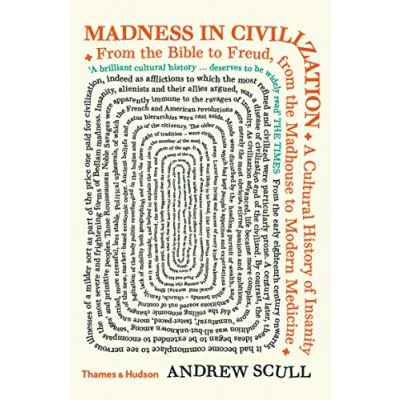 Bild av Madness in Civilization: A Cultural History of Insanity from the Bible to Freud, Madhouse Modern Medicine