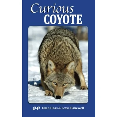 Bild av Curious Coyote: Nature Break Prompts for Bringing into Your Everyday Life
