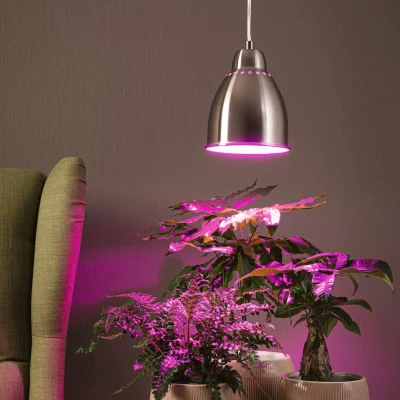 Bild av Paulmann 79765 pendellampa Neordic Hilla max. 40 Watt järn borstad metall E27 utan glödlampa