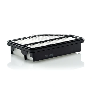 Bild av Luftfilter MANN FILTER C 20 003