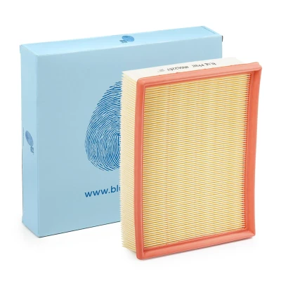 Bild av Luftfilter Blue print ADG02207