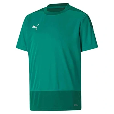 Bild av PUMA pojke Teamgoal 23 träningströja Jr t shirt