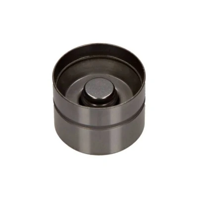 Bild av MAXGEAR 17 0023 Poussoir hydraulique Côté d&#039;échappement VOLKSWAGEN: Golf 4, 5, Multivan 5 (7HM, AUDI: A3 3/5 portes, A4 B5 Berline