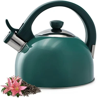 Bild av KADAX vattenkokare i rostfritt stål, på 1,7 liter olika färger, tekokare för alla typer av spisar, retro flöjtkokare (grön)