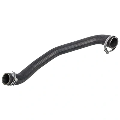 Bild av FEBI BILSTEIN 170774 Gaine De Suralimentation avec colliers FORD: C Max 2, FOCUS 3, 3 Turnier