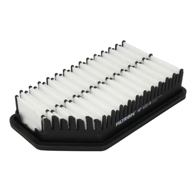 Bild av Luftfilter FILTRON AP 122/8