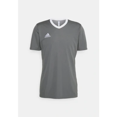 Bild av adidas Performance Entrada 22 Tshirt till träning, Storlek: Large, Team grey four