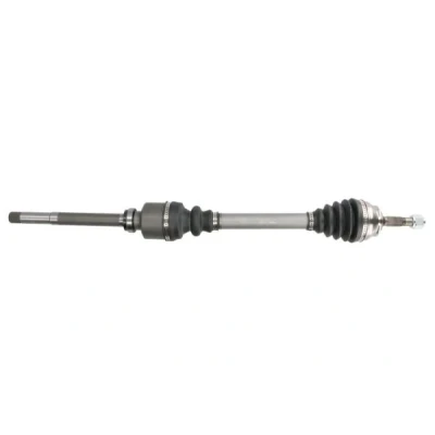 Bild av Drivaxel PASCAL G2C162PC