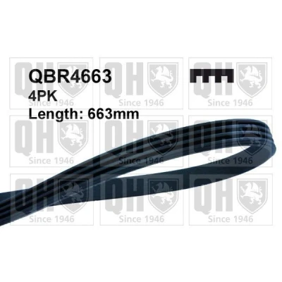 Bild av QUINTON HAZELL QBR4663 Courroie Poly V 663 4 FIAT: Punto II 3/5 portes, Doblo I Break, Cargo, LANCIA: Ypsilon II, Y, CHEVROLET: Matiz