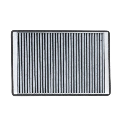 Bild av CHAMPION CCF0063C Filtre d&#039;habitacle à charbon actif 260 165 30 VOLVO: V70 2, XC70 I Cross Country,