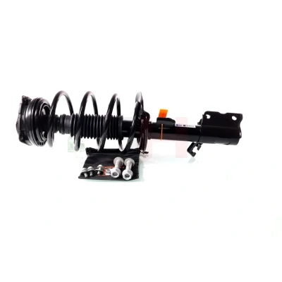 Bild av Komplett fjäderben, Framaxel, framaxel Höger, Vänster, nissan x trail ii, 54010JG70D, 54302JD00A, 54302JD01A, 5
