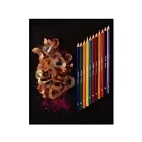 Bild av Bruynzeel Super colour pencil tin 60 colours