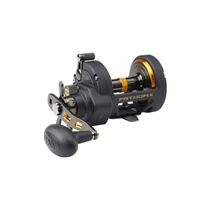 Bild av Penn Fathom II Star Drag multirulle 40