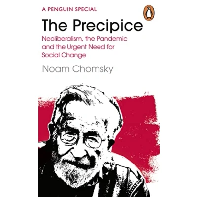 Bild av the Precipice: Neoliberalism, Pandemic and Urgent Need for Radical Change