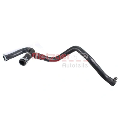 Bild av METZGER 2421991 Durite De Refroidissement avec colliers FORD: Focus 2, C Max, Max