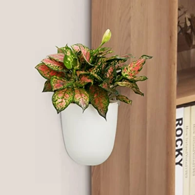 Bild av 2 pack hörn väggmonterad hängande planterare självvattnande triangel plast blomkruka dekorativ modern växt vas behållare hållare för suckulent inomhus utomhus hem kontor inredning afrikansk violett