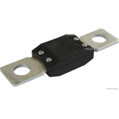 Bild av HERTH+BUSS ELPARTS 50295842 Fusible noir 32