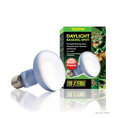 Bild av Exo Terra Daylight Basking Spot 100 W