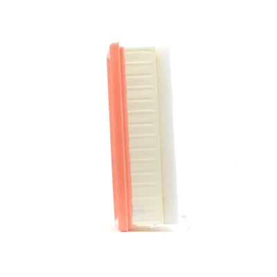 Bild av Luftfilter FILTRON AP 026/2