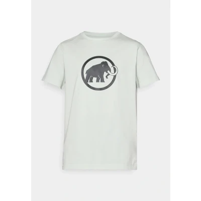 Bild av Mammut CORE Classic Tshirt med print silvercoloured sage, Storlek: Large, Silver/coloured sage