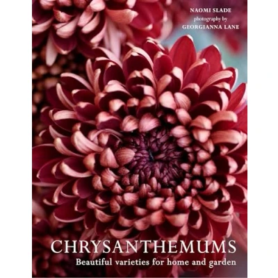 Bild av Chrysanthemums: the ultimate guide for growing and cutting flower varieties home garden