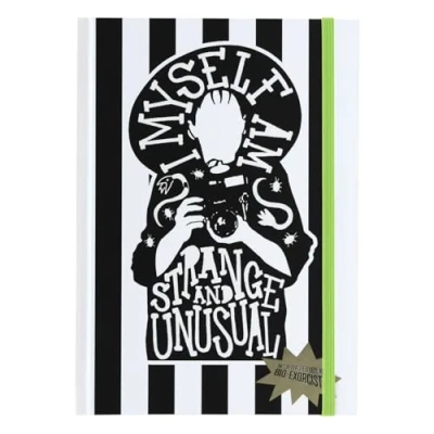 Bild av Grupo Erik A5 Notebook Beetlejuice Merchandise Lined Notebook, Note Book Lined, Notebooks A5, Notepads Notepad, Sketchbook Gifts