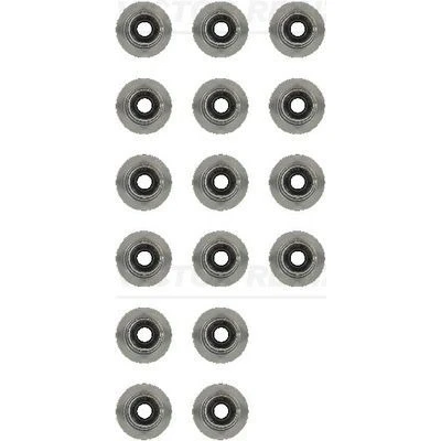Bild av Packningssats, ventiler VICTOR REINZ 12 13246 01