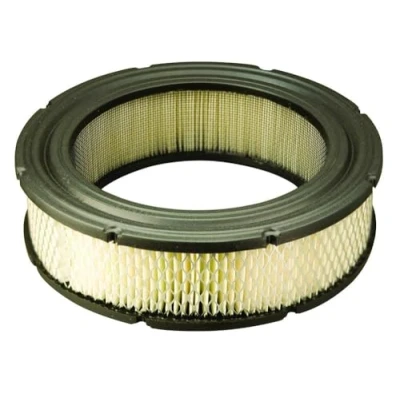 Bild av Briggs and Stratton äkta 692519 luftfilter patron