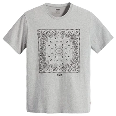 Bild av Levi&#039;s Graphic Crewneck BW FILL SSNL Tshirt med print, Storlek: XS, Grey