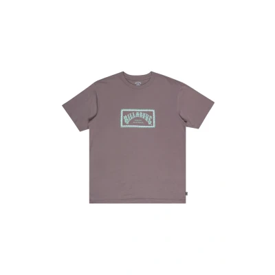 Bild av Billabong Arch Frame SS kortärmad T shirt grå XL