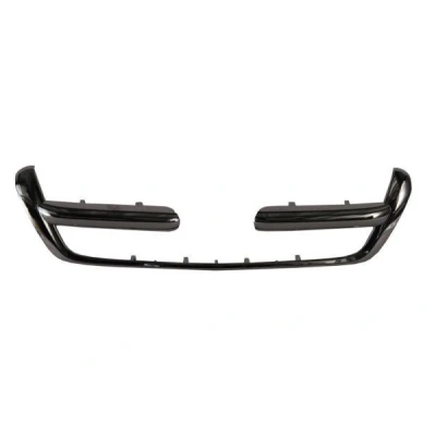 Bild av BLIC 6502 07 2956991P Prydnads / Skyddslist, kylargaller HONDA: CR V II (RD) 2.0, 2.4 Vtec 4WD 2001 2007