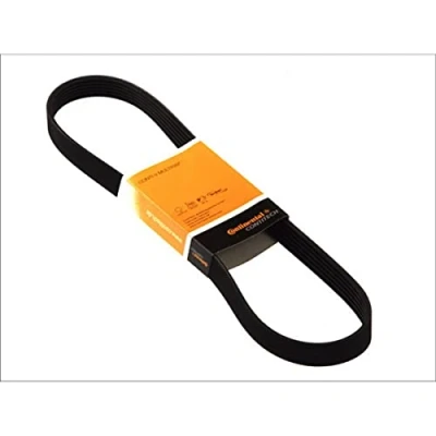 Bild av CONTITECH 6PK831 ELAST T1 Jeu de courroies trapézoïdales à nervures avec outillage montage FORD: Transit Mk5 Van