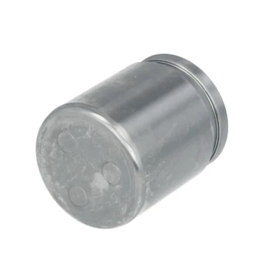 Bild av Kolv, bromsok AUTOFREN SEINSA D025278