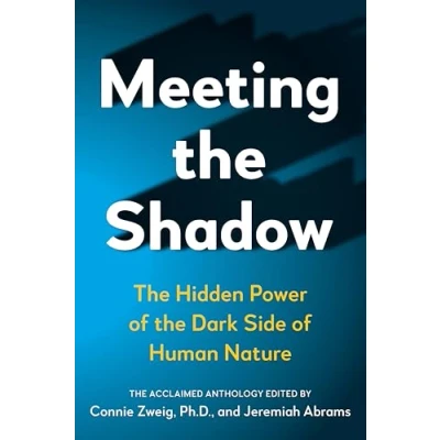 Bild av Meeting the Shadow: Hidden Power of Dark Side Human Nature