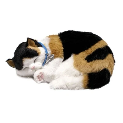 Bild av Perfect Petzzz, Calico katt, valpen som andas