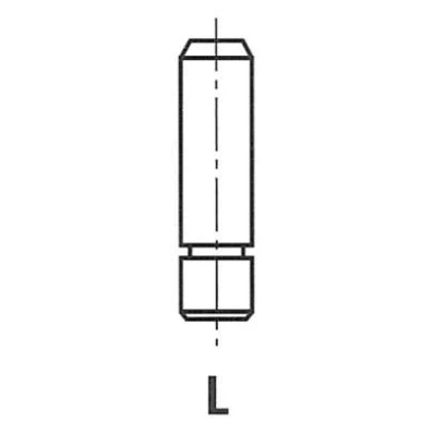 Bild av FRECCIA G11394 Guide de soupape 9 Fonte grise