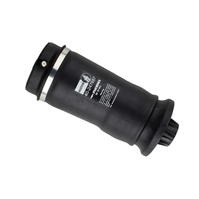 Bild av Luftfjäder, hjulupphängning Bilstein 40 247687