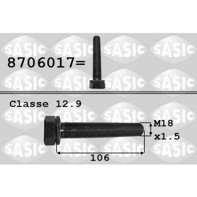 Bild av SASIC 8706017 Boulon de poulie VOLKSWAGEN: Transporter 4 Bus, 4, Passat B5 GP Break, AUDI: A6 C5 Avant, A4 Avant