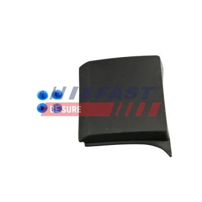 Bild av Prydnads / Skyddlist, sidovägg, Vänster, fiat,nissan,renault, 4407248, 6000618702, 768196228R, 7685100Q1G, 93867910