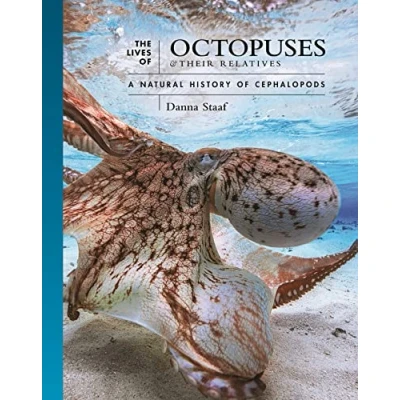 Bild av The Lives of Octopuses and Their Relatives: A Natural History Cephalopods: 8