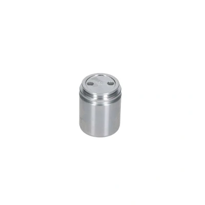 Bild av Kolv, bromsok AUTOFREN SEINSA D025558
