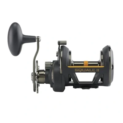 Bild av Penn Squall II Star Drag multirulle 40