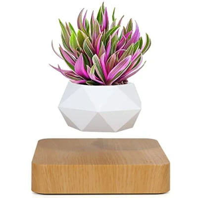 Bild av Levitating Air Bonsai Pot, Rotation Flower Pot Planters, Magnetic Levitation Suspension Floating Potted Plant Home Desk Decor in Pots &amp; Planters from Garden on (Light Color)