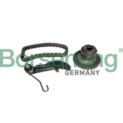 Bild av Borsehung B10218 Kit de chaînes, commade pompe à huile VOLKSWAGEN: Golf 6, 5, Passat B6 Variant, AUDI: A3 Sportback, A4 B8 Berline